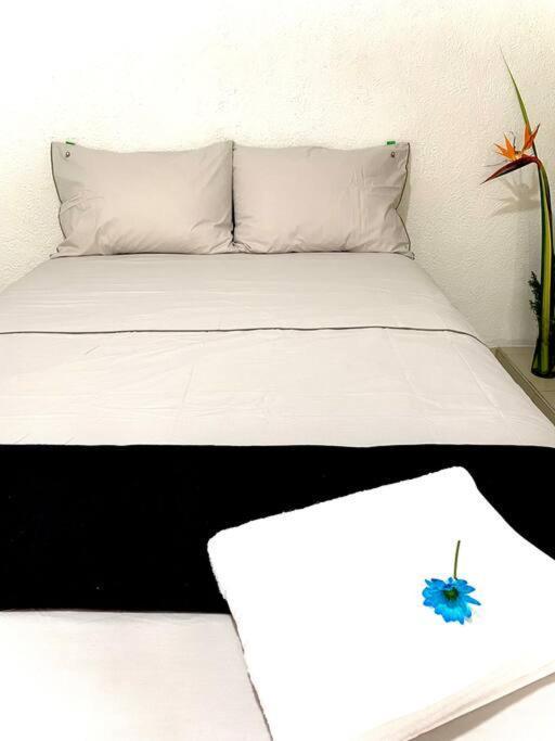 Zona Norte - Vipasa Appartement